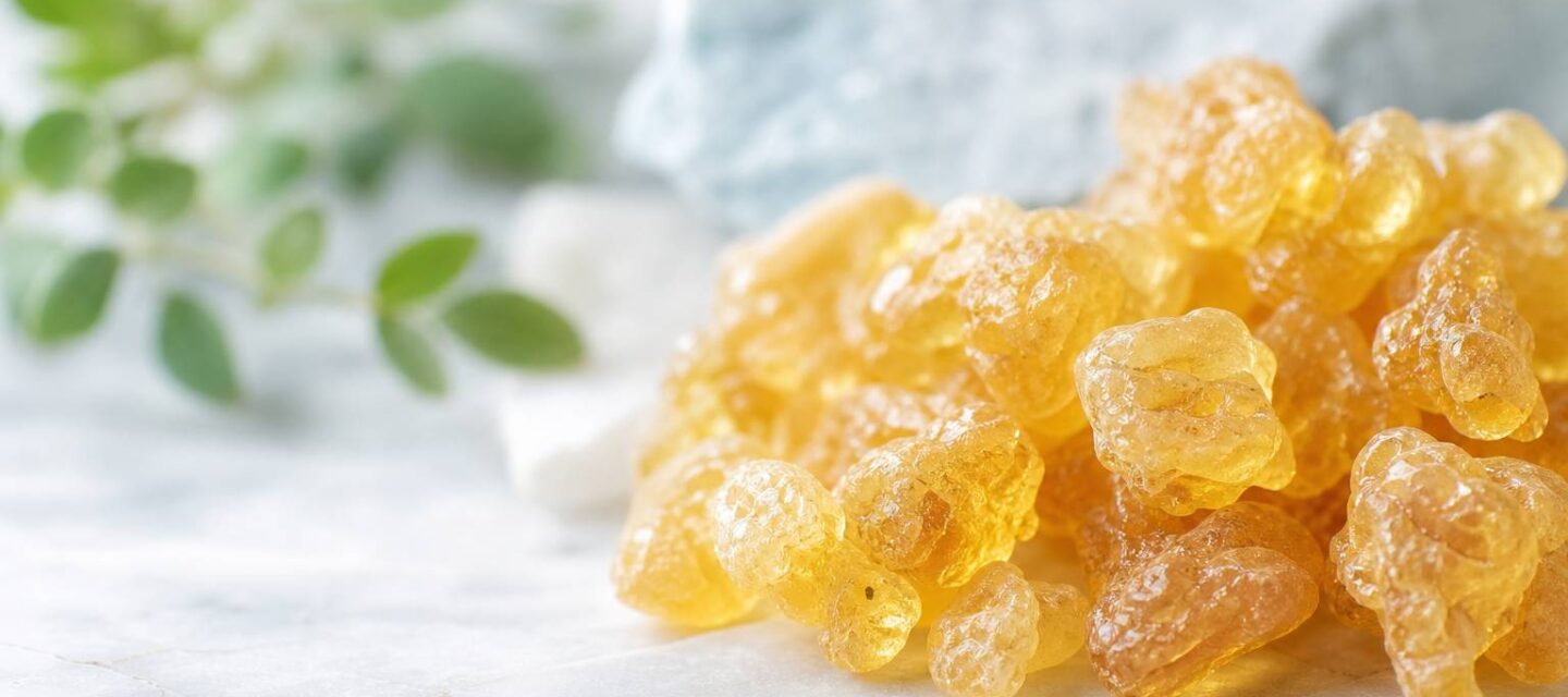 Boswellia serrata : l&rsquo;encens indien anti-inflammatoire naturel