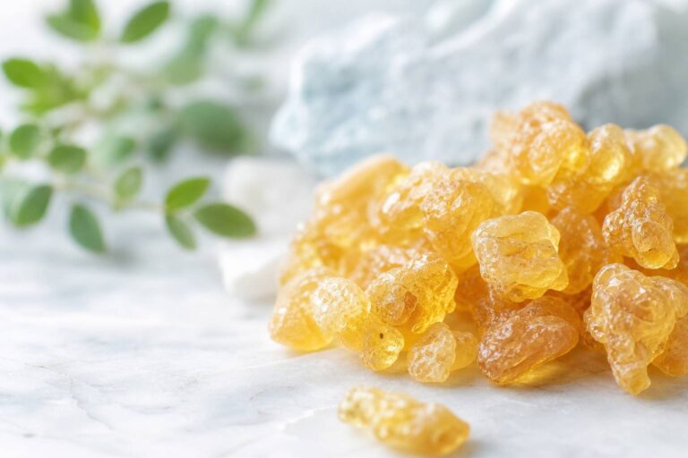 Boswellia serrata : l&rsquo;encens indien anti-inflammatoire naturel