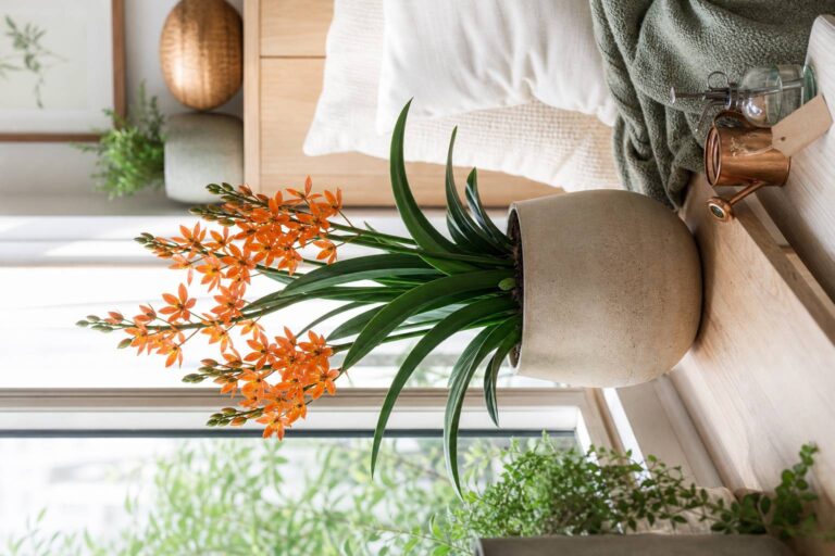 Fenouil commun : bienfaits, tisane et usages au quotidien