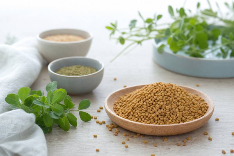 Fenugrec : la plante aux mille usages en cuisine et en santé