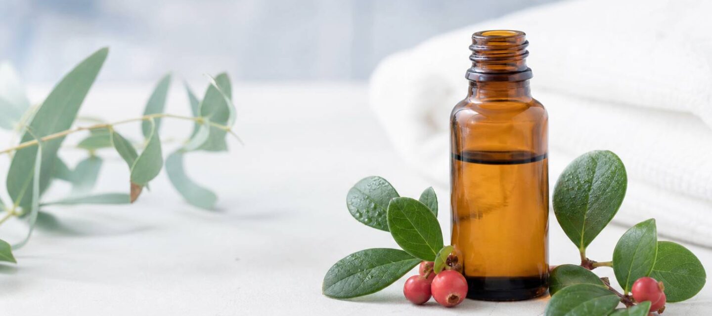 Huile de massage à la gaulthérie : la recette maison anti-douleur