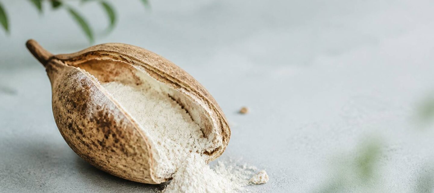 Pain de singe : le fruit du baobab et ses vertus