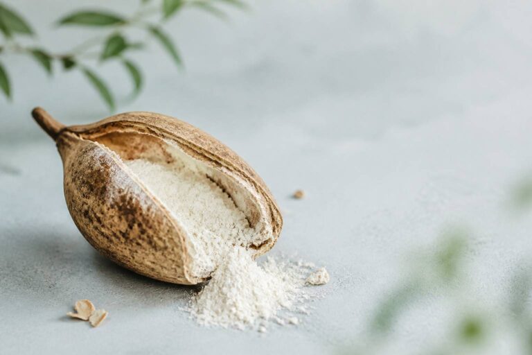 Pain de singe : le fruit du baobab et ses vertus