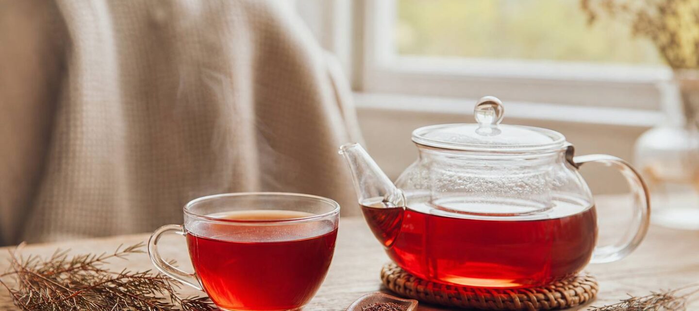 Rooibos et théine : pourquoi cette infusion sans excitant séduit