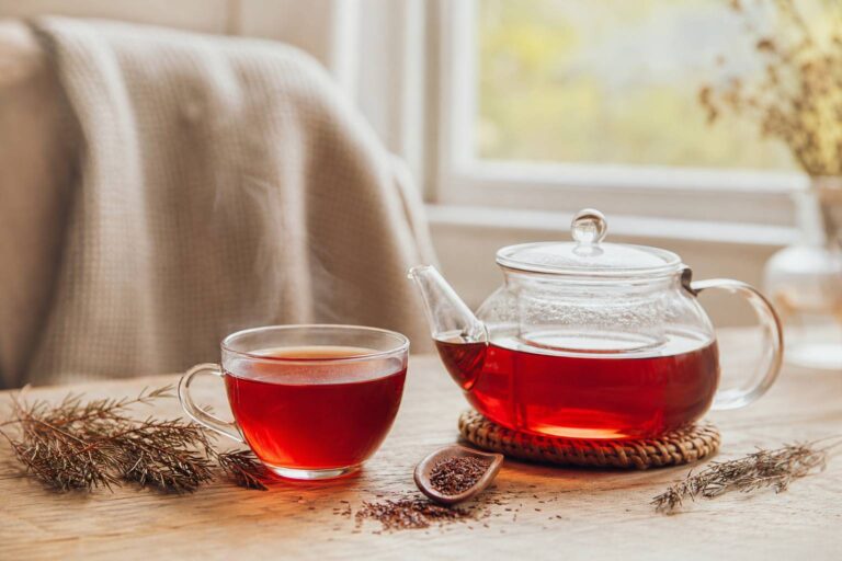 Rooibos et théine : pourquoi cette infusion sans excitant séduit
