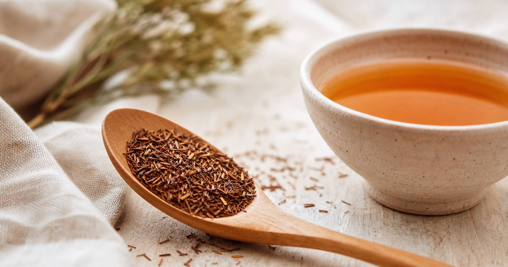Photographie illustrative: Rooibos et théine : pourquoi cette infusion sans excitant séduit