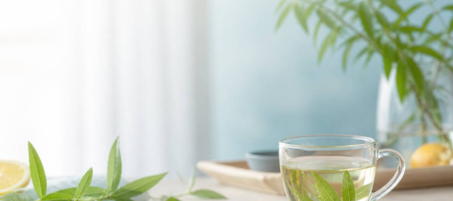 Verveine citronnée : bienfaits, tisane et différences avec la verveine