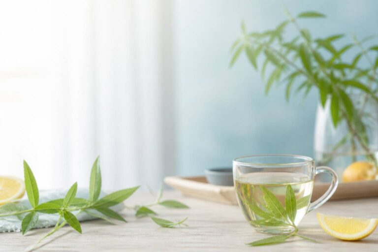 Verveine citronnée : bienfaits, tisane et différences avec la verveine